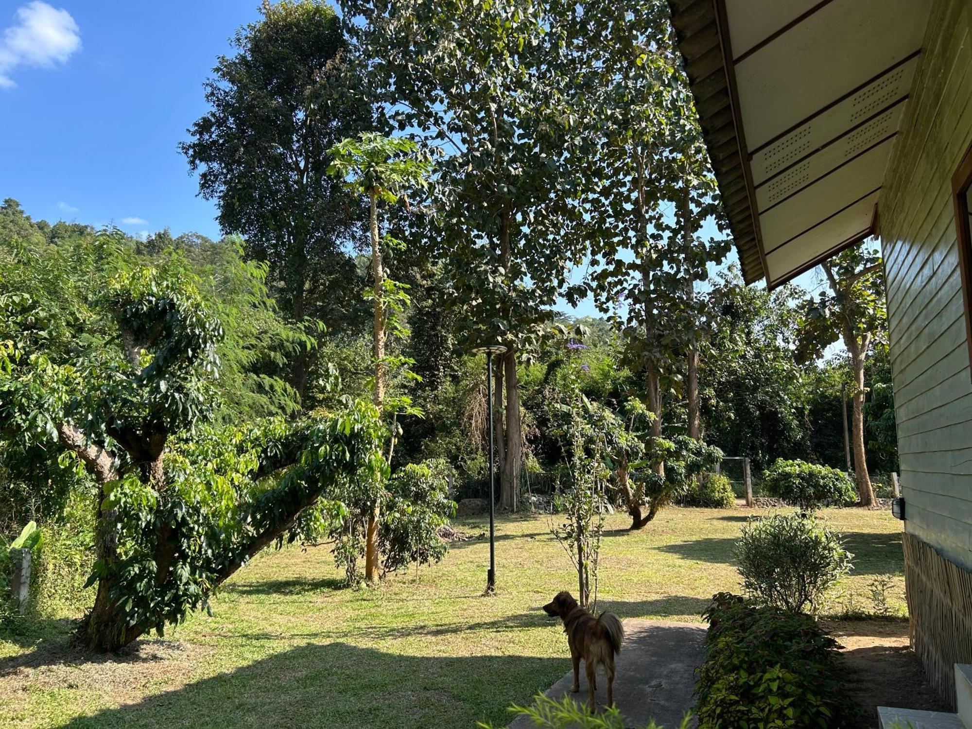 At Home Chiang Dao, Pooch Lovers Ban Tham  Eksteriør bilde